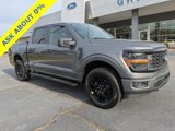 New 2025 Ford F150 STX w/ STX Black Appearance Package image 2