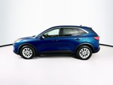 Used 2020 Ford Escape SE image 4