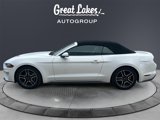 Used 2022 Ford Mustang Premium image 2