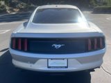 Used 2017 Ford Mustang Premium image 4