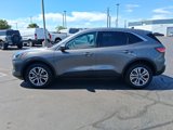 Used 2022 Ford Escape SEL image 6