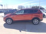 Used 2019 Ford Escape SEL image 4