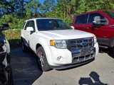 Used 2012 Ford Escape Limited image 2