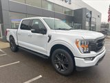 Certified 2022 Ford F150 XLT w/ Equipment Group 302A High image 2