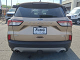 Used 2020 Ford Escape SEL image 5