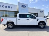 Used 2023 Ford F150 XL w/ STX Appearance Package image 5