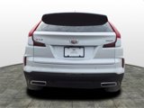 New 2025 Cadillac XT4 Premium Luxury w/ Cold Weather Package image 4