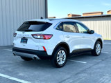 Used 2020 Ford Escape SE image 4