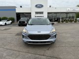 Used 2022 Ford Escape SE image 4