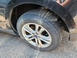 Used 2015 Ford Edge SEL w/ Equipment Group 201A image 4
