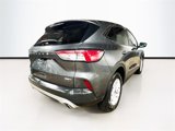 Used 2020 Ford Escape SE image 6
