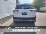 Used 2020 Ford Escape SEL image 5