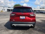 Used 2020 Ford Escape SE image 5