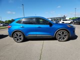 Used 2021 Ford Escape SE w/ SE Sport Appearance Package image 2