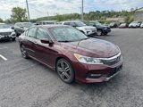 Used 2017 Honda Accord Sport image 4
