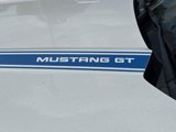 Used 2017 Ford Mustang GT Premium image 6