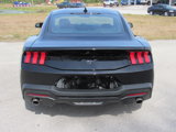 New 2025 Ford Mustang Premium w/ Mustang Nite Pony Package image 4