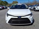 Certified 2023 Toyota Corolla LE image 2