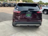 Used 2021 Ford Edge SEL image 4