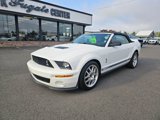 Used 2007 Ford Mustang Shelby GT500 image 2
