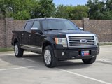 Used 2009 Ford F150 Platinum image 4