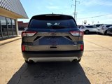 Used 2020 Ford Escape SE image 6