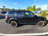 Used 2011 Ford Escape XLT w/ 203A Rapid Spec Order Code image 2
