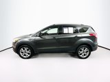 Used 2016 Ford Escape Titanium image 4