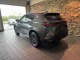 Used 2024 Lexus NX 350 AWD w/ Premium Package image 2