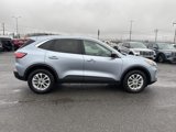 Used 2022 Ford Escape SE image 5