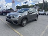 Used 2019 Subaru Forester Premium image 3