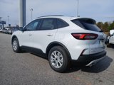 New 2025 Ford Escape Active w/ Tech Pack #1 image 5