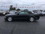 Used 2007 Ford Mustang GT Premium image 4