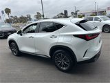 Used 2025 Lexus NX 350h AWD w/ Premium Package image 4