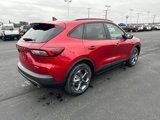 New 2025 Ford Escape ST-Line w/ Tech Pack #1 image 5