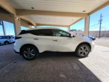 Used 2019 Nissan Murano Platinum w/ Cargo Package image 4