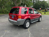 Used 2007 Ford Escape XLT image 5