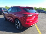 New 2025 Ford Escape ST-Line Elite image 5