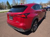Certified 2021 Lexus NX 300h AWD w/ Accessory Package image 3