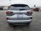 Used 2024 Ford Escape ST-Line image 6
