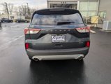 Used 2022 Ford Escape SE w/ Convenience Package image 6