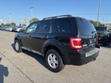Used 2010 Ford Escape XLT image 6