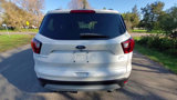 Used 2019 Ford Escape SEL image 4