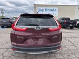 Used 2017 Honda CR-V EX-L image 5