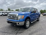 Used 2013 Ford F150 XLT w/ Luxury Equipment Group image 4