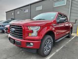 Used 2017 Ford F150 XLT w/ Equipment Group 302A Luxury image 2