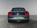 Used 2018 Ford Mustang Premium w/ Ecoboost Performance Package image 6