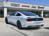 Used 2017 Ford Mustang GT Premium w/ Equipment Group 401A image 4