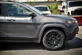 Used 2020 Jeep Cherokee Trailhawk w/ Cold Weather Group image 4