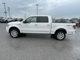 Used 2013 Ford F150 Platinum image 4